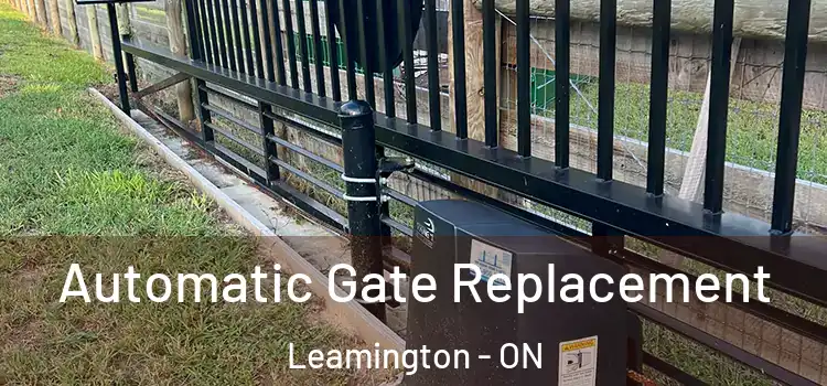 Automatic Gate Replacement Leamington - ON