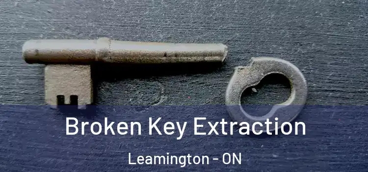 Broken Key Extraction Leamington - ON
