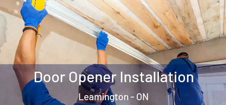  Door Opener Installation Leamington - ON