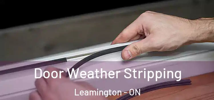 Door Weather Stripping Leamington - ON