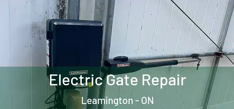  Electric Gate Repair Leamington - ON