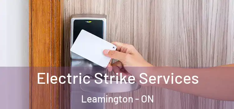  Electric Strike Services Leamington - ON