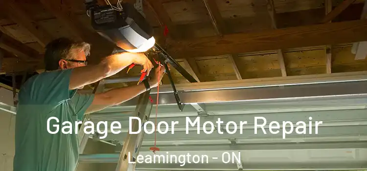  Garage Door Motor Repair Leamington - ON