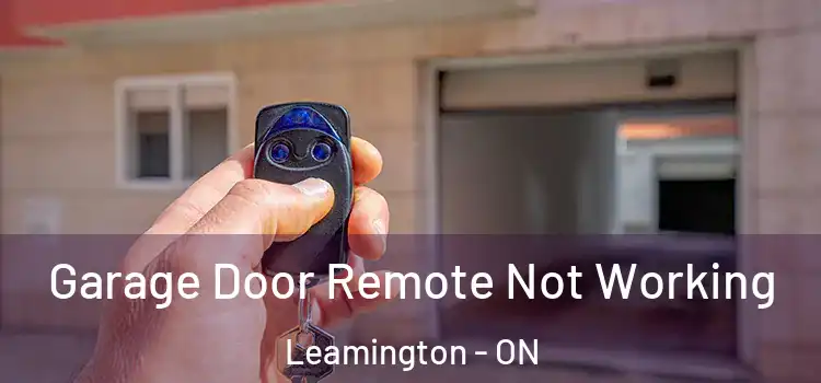  Garage Door Remote Not Working Leamington - ON