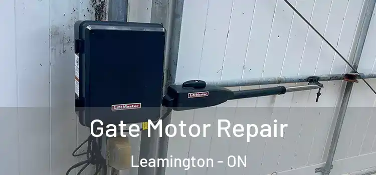 Gate Motor Repair Leamington - ON