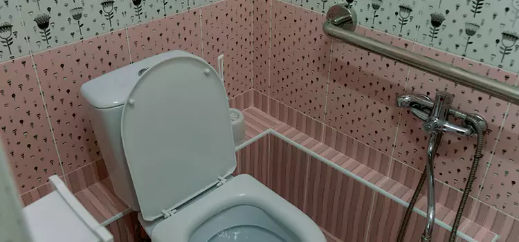 Meeting Diverse Needs With Accessible Restroom Solutions in Leamington, ON