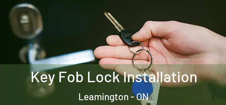  Key Fob Lock Installation Leamington - ON