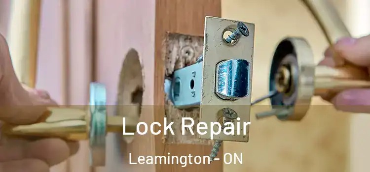  Lock Repair Leamington - ON