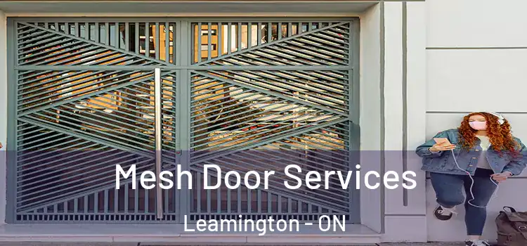 Mesh Door Services Leamington - ON