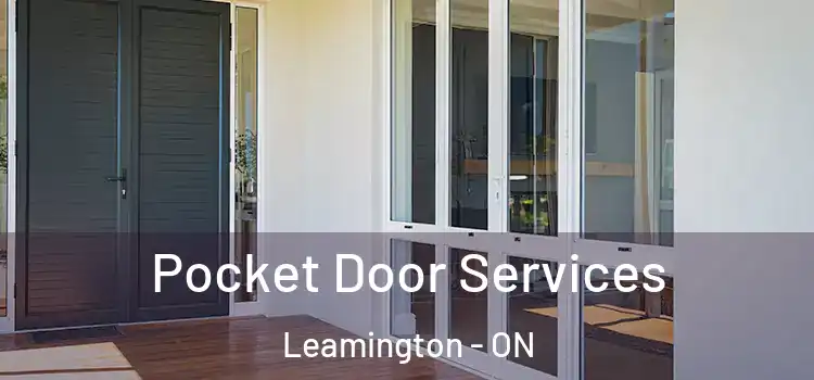  Pocket Door Services Leamington - ON