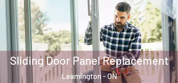 Sliding Door Panel Replacement Leamington - ON